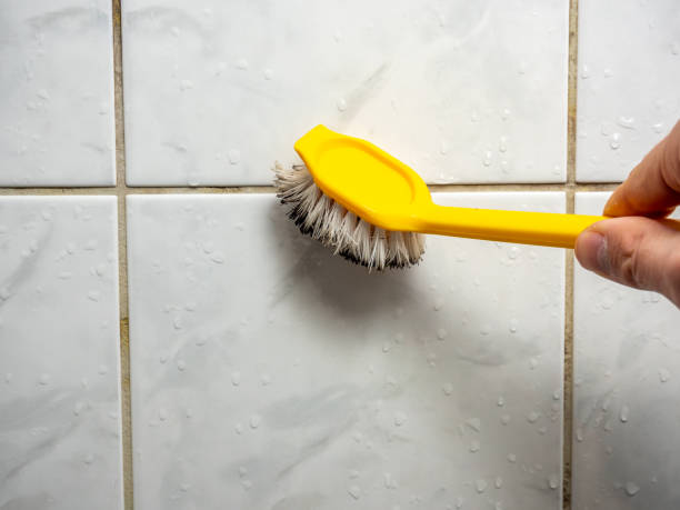 Best Commercial Mold Removal  in Pearl, MS