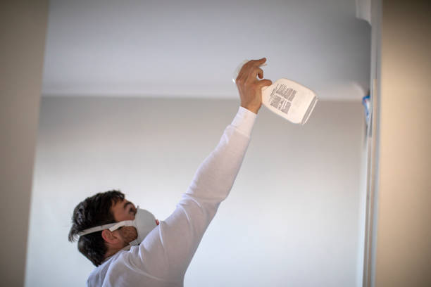 Best Professional Mold Removal  in Pearl, MS