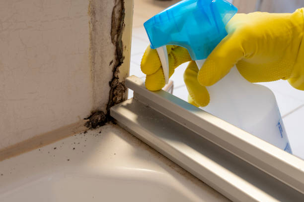 Best Mold Cleaning Services  in Pearl, MS
